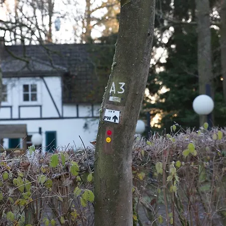 Hotel Waldhotel Wilhelmshohe 3*