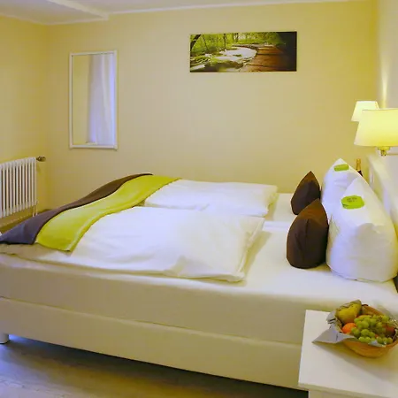 Hotel Waldhotel Wilhelmshoehe Freudenberg (North Rhine-Westphalia)