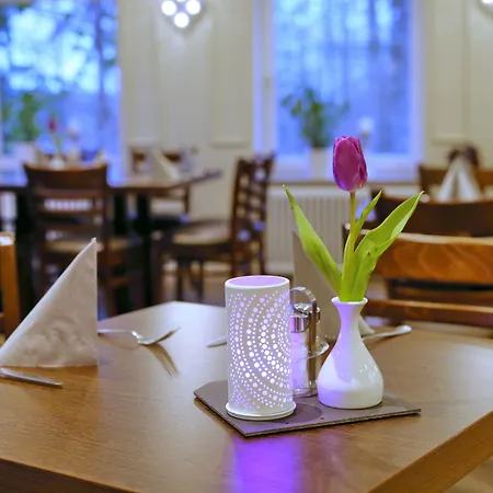 Waldhotel Wilhelmshoehe Freudenberg (North Rhine-Westphalia)