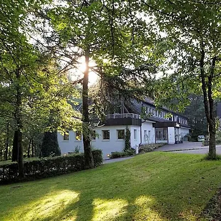 Hotel Waldhotel Wilhelmshoehe Freudenberg (North Rhine-Westphalia)