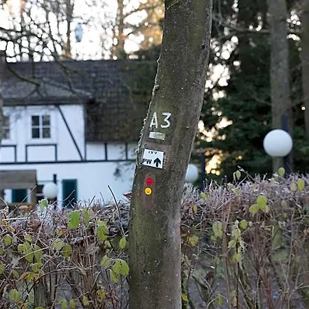 Waldhotel Wilhelmshoehe Hotel Freudenberg (North Rhine-Westphalia)