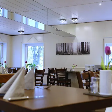 Waldhotel Wilhelmshohe 3* Freudenberg (North Rhine-Westphalia)