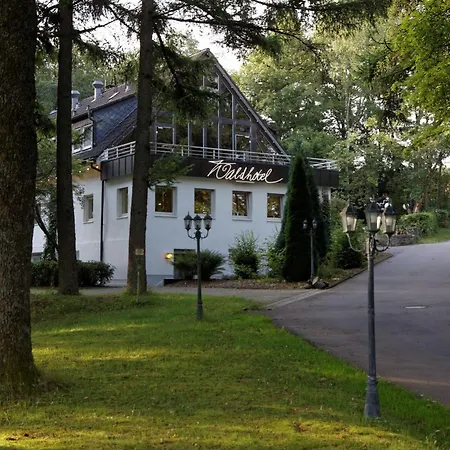 Hotel Waldhotel Wilhelmshohe Freudenberg (North Rhine-Westphalia)