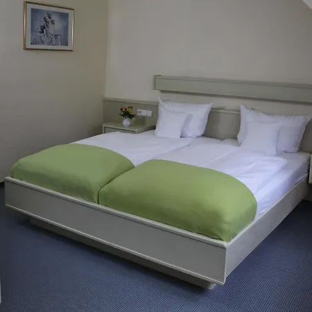 Hotel Waldhotel Wilhelmshoehe Freudenberg (North Rhine-Westphalia)