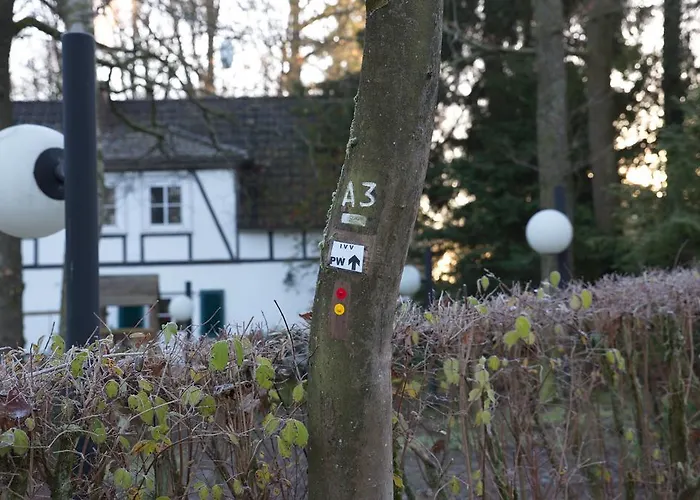 Отель Waldhotel Wilhelmshoehe 3*