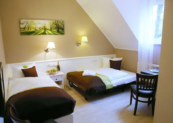 Отель Waldhotel Wilhelmshoehe Фройденберг