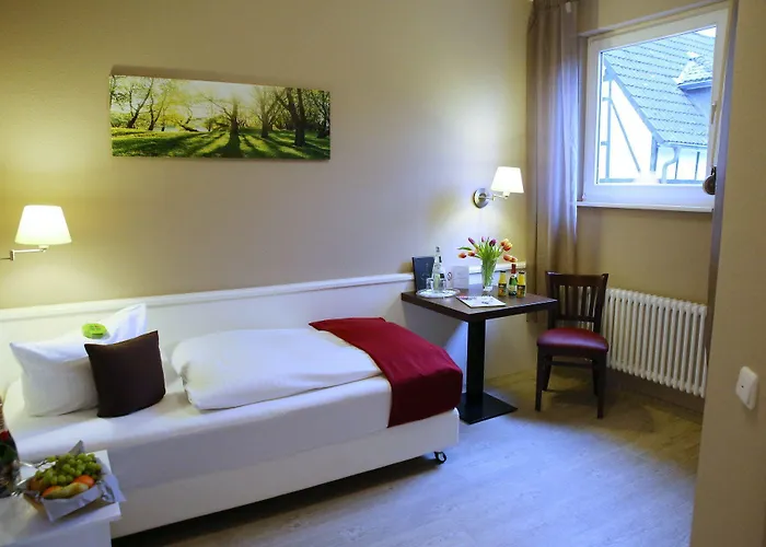 Waldhotel Wilhelmshoehe Hotel Freudenberg (North Rhine-Westphalia)