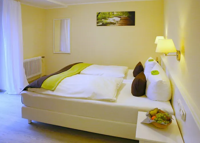 Отель Waldhotel Wilhelmshoehe Фройденберг