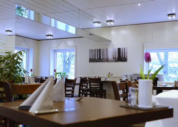 Отель Waldhotel Wilhelmshoehe Фройденберг