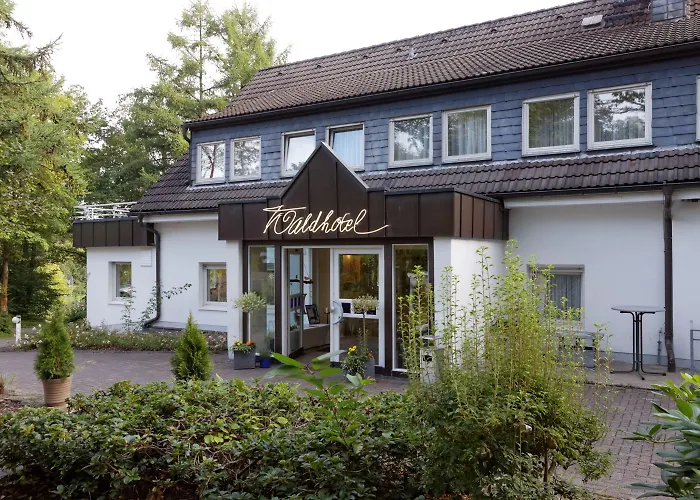 Waldhotel Wilhelmshoehe Фройденберг