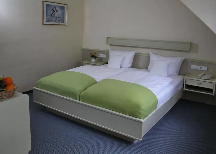 Отель Waldhotel Wilhelmshoehe Фройденберг