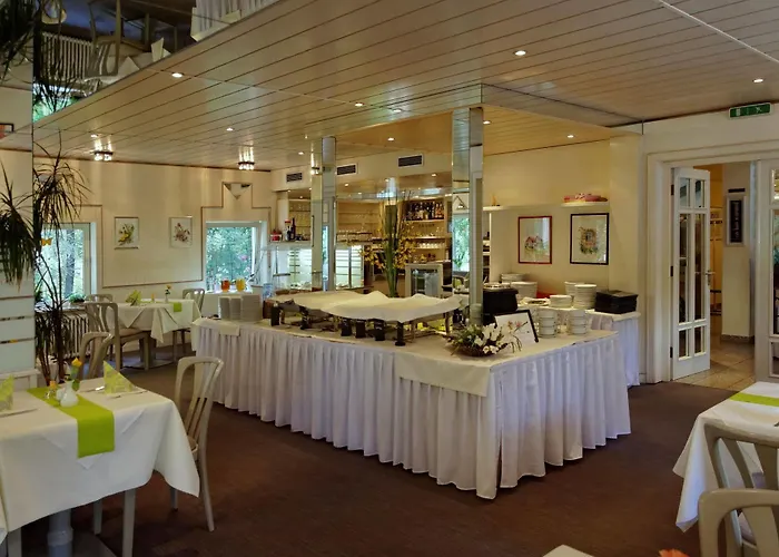 Отель Waldhotel Wilhelmshoehe Фройденберг